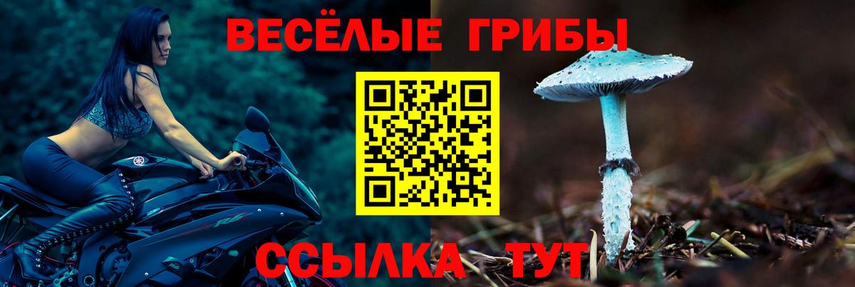 Галлюциногенные грибы прущие грибы  Вход с VPN  Ржев  Галлюциногенные грибы Cubensis 